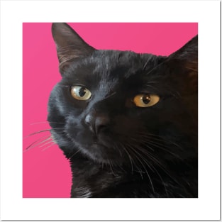 Black Cat With A Funny Quirky Expression Cut Out Posters and Art